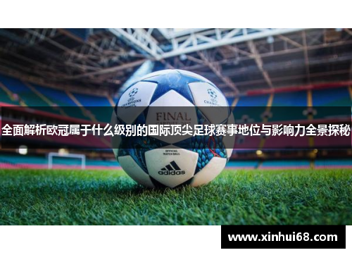 全面解析欧冠属于什么级别的国际顶尖足球赛事地位与影响力全景探秘